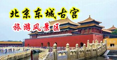 啊好涨好大操逼视频中国北京-东城古宫旅游风景区